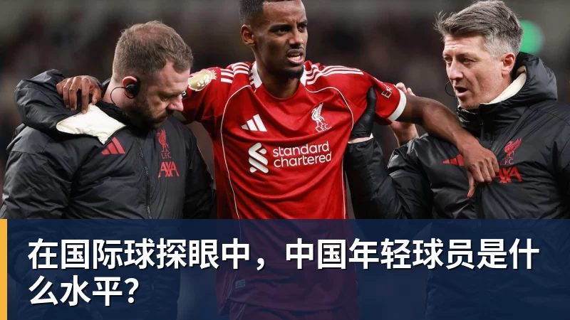 欧冠分析：巴黎阿森纳难以取舍，拜仁马竞无需分心，全力冲击冠军 - 尊龙官方网站 · 权威体育数据平台
