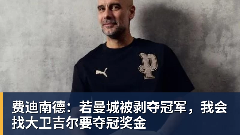 费迪南德：若曼城被剥夺冠军，我会找大卫吉尔要夺冠奖金